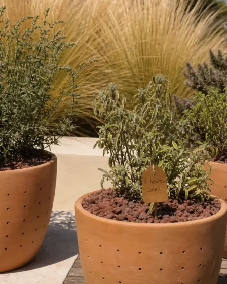 Plantes pour terrasse ensoleillée : romarin et stipa sur terrasse plein sud, bacs terre cuite.