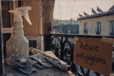 Recette de grand mere pour faire fuir les pigeons : vinaigre, épices, filets anti-pigeons sur balcon