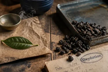 Thé noir ou vert : feuilles et vapeur, guide pour choisir l’infusion